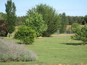 About Forest Edge Farm