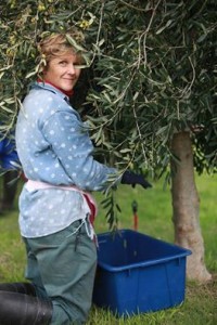 What's so Hot about cooking with EVOO