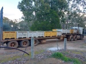 Forest edge Farm Olive Grove Our Olives loaded ready to travel