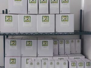 Forest edge Farm Olive Grove Our Cold Pressed Extra Virgin Olive Oil Orders Packaged ready to post.