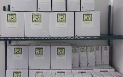 New Season cold pressed EVEO and 10Ltr postage